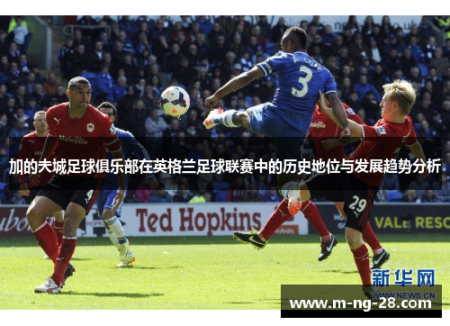 加的夫城足球俱乐部在英格兰足球联赛中的历史地位与发展趋势分析