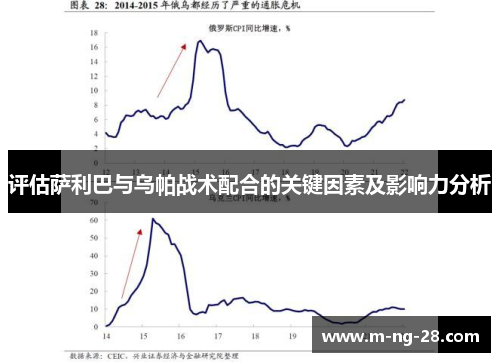 评估萨利巴与乌帕战术配合的关键因素及影响力分析
